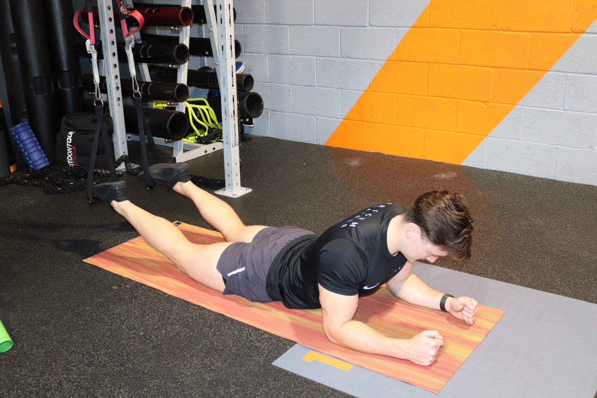 trx exercise list image