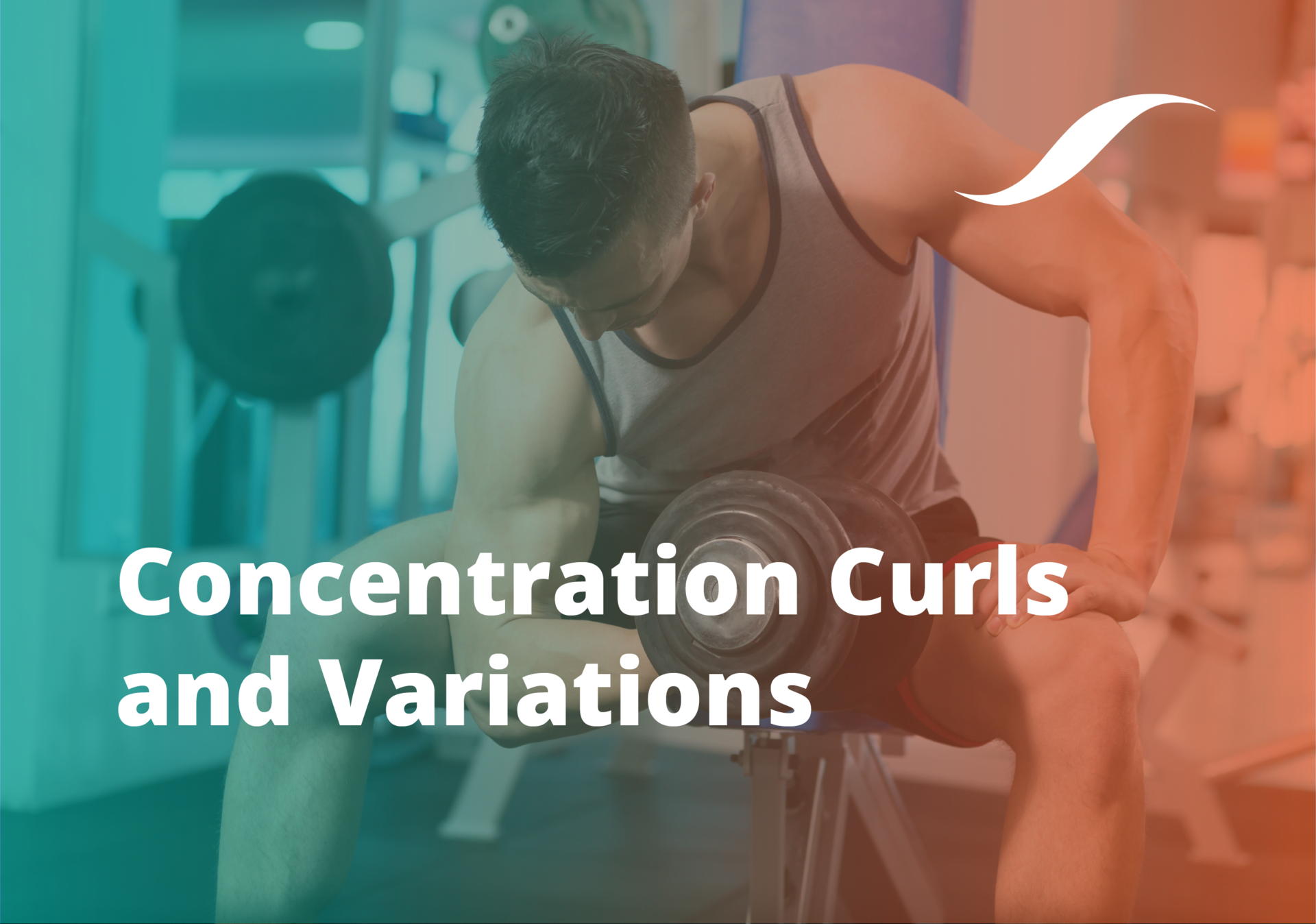 concentration curl banner image