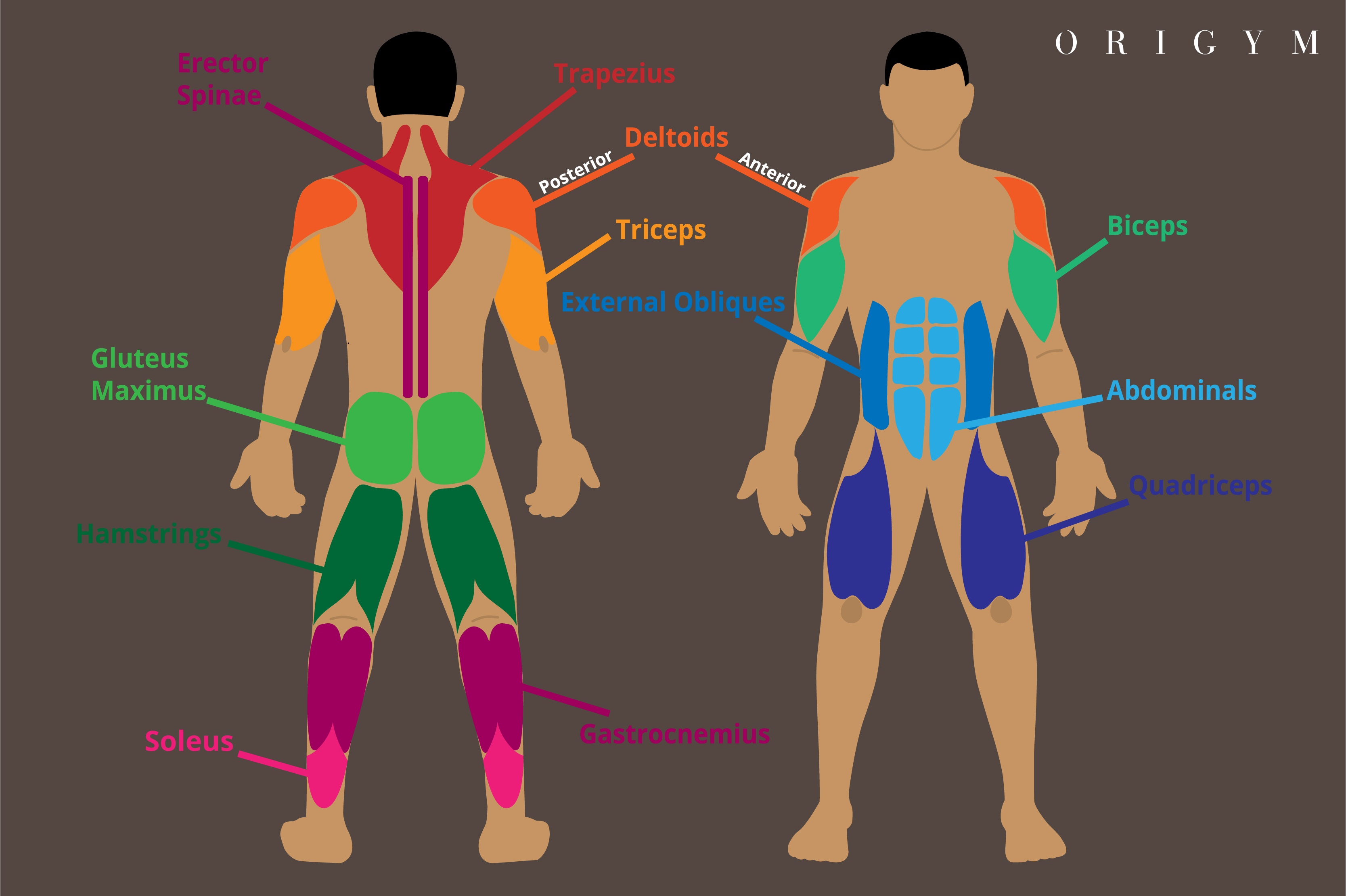 What is a personal training course 2