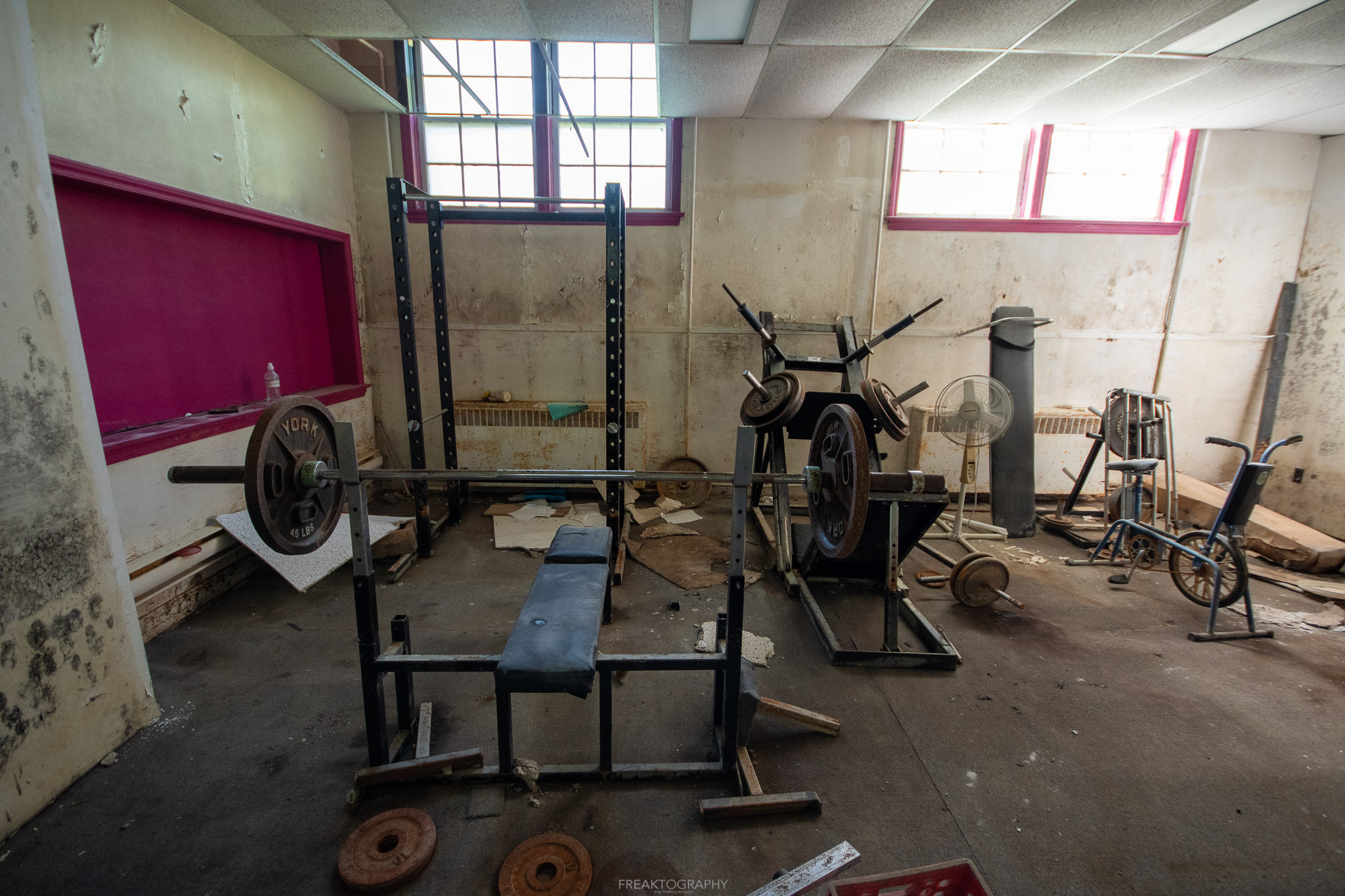 sell online workout programmes