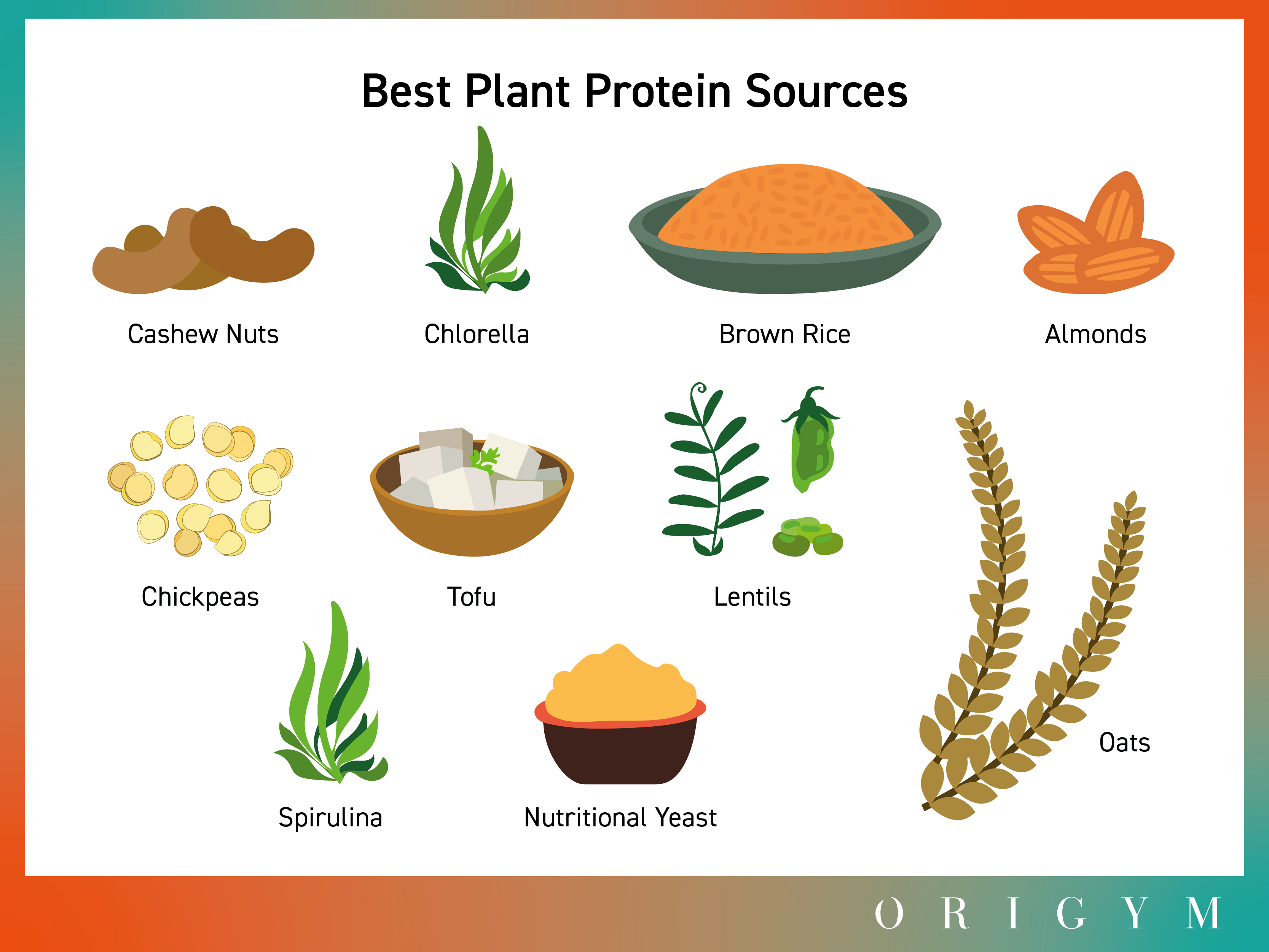 How to write a nutrition plan for clients plant based