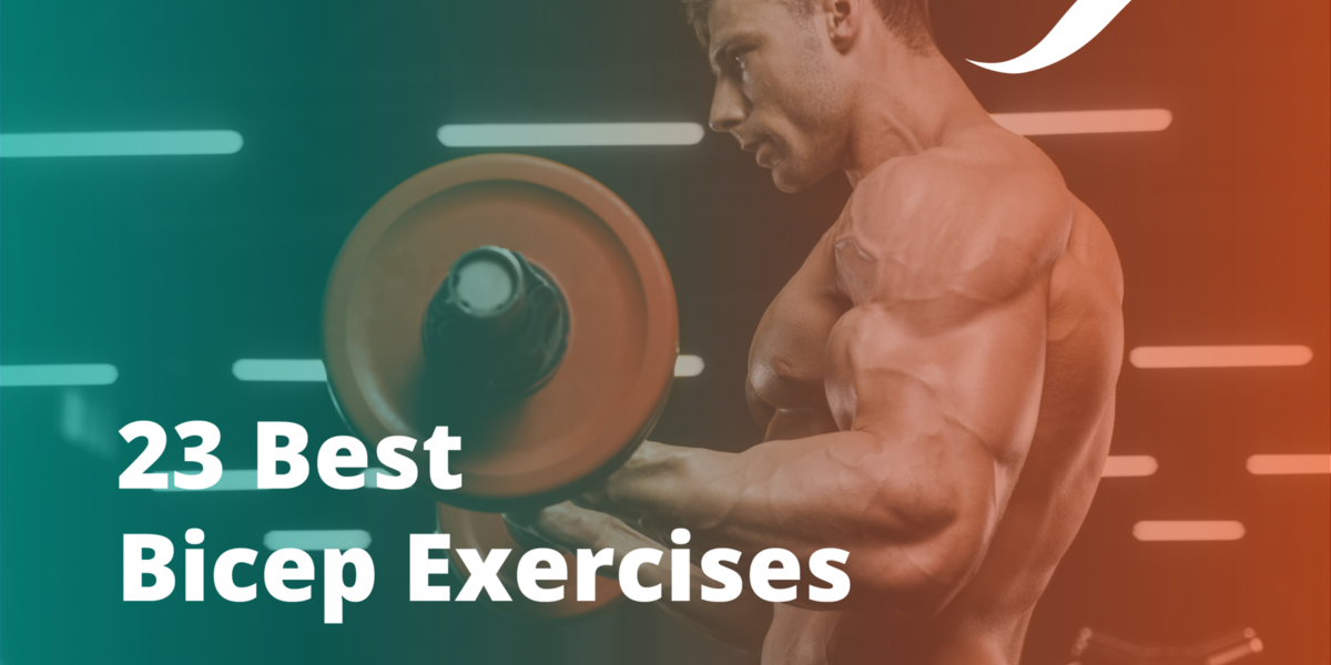 23 Best Bicep Exercises for Mass & Strength